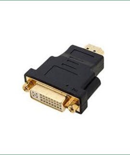 HDMI to DVI Converter